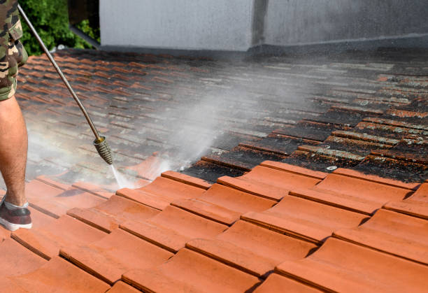 Best Local Pressure Washing Services  in Santa Clara, NM